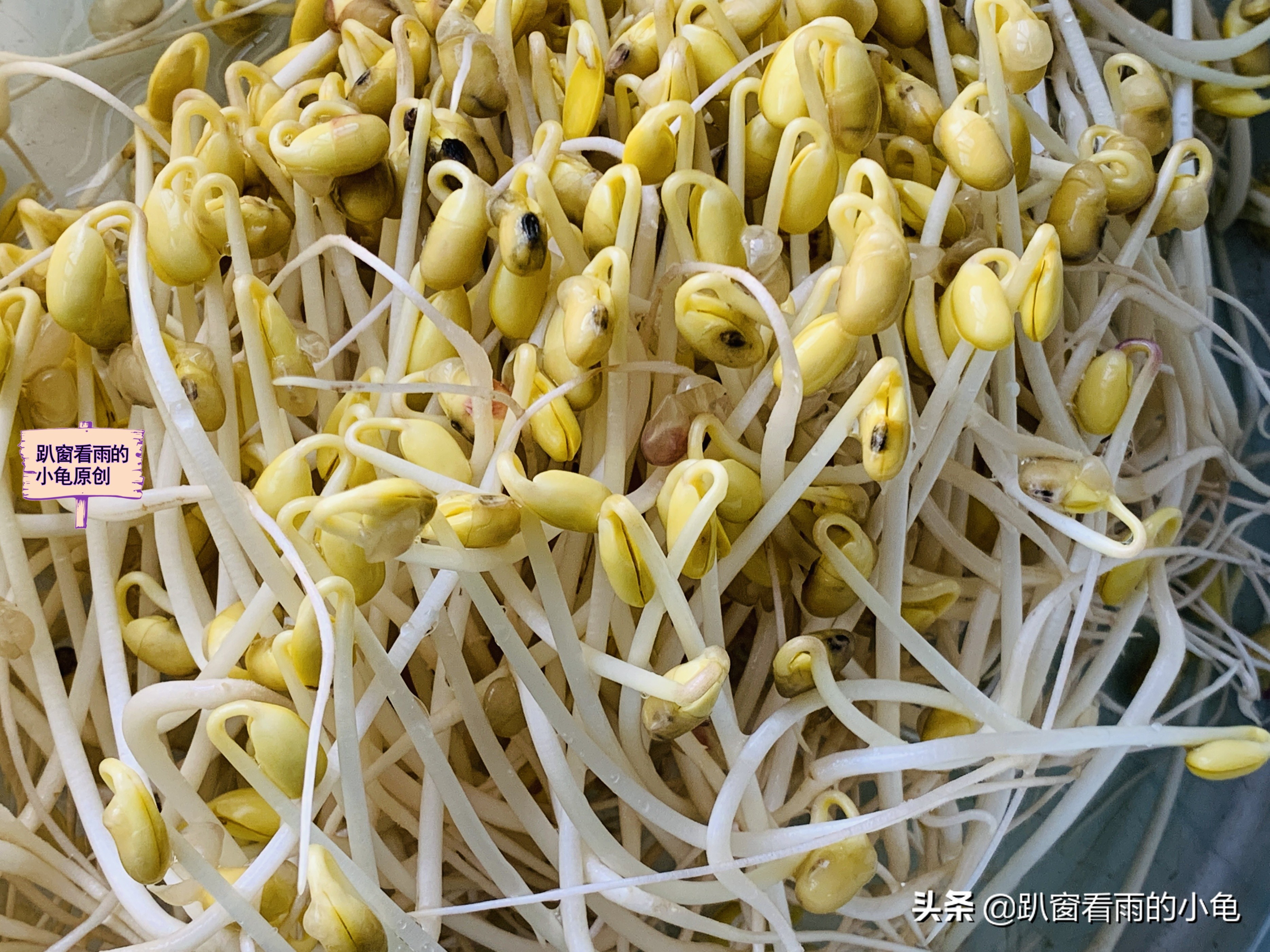 家有余粮，遇事不慌！收好10种生活必要的物资，这3件事也做起来