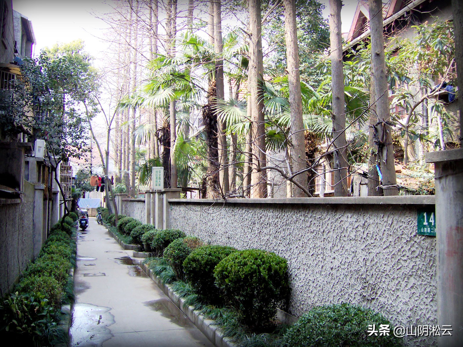 山阴路上千爱里，友爱岁月里的千千记忆