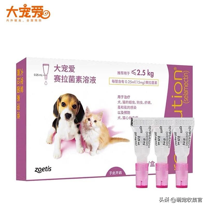 驱虫药大宠爱海乐妙怎么吃,常见猫咪驱虫药有哪些
