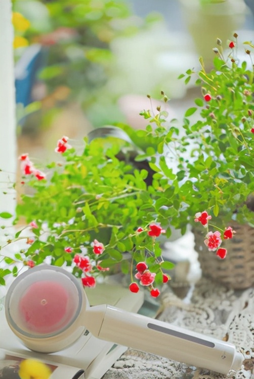 法恩莎花洒套装推荐排行榜前十名,法恩莎花洒哪款好用