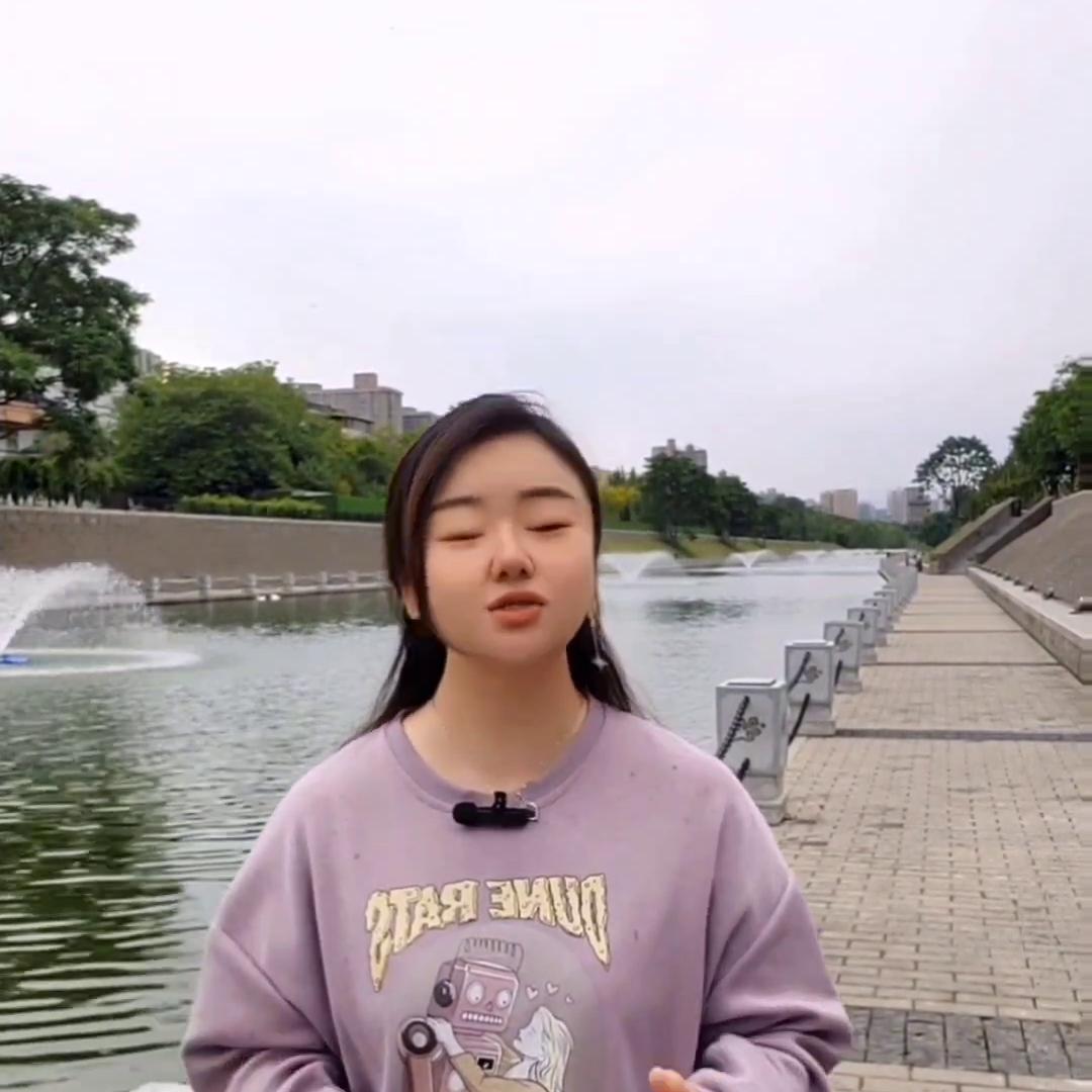 西安博物馆与博物院有哪些区别,陕西博物馆和西安博物院哪个好