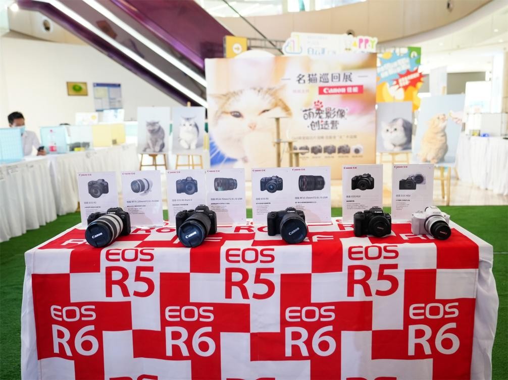 端午撸猫乐趣尽在“猫21×佳能萌宠影像创造营“广州站