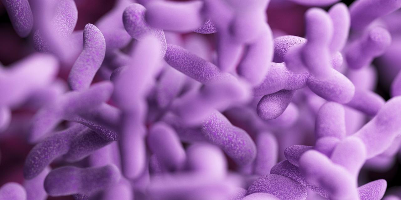 分娩对阴道菌群的影响有多大?来看最新研究!