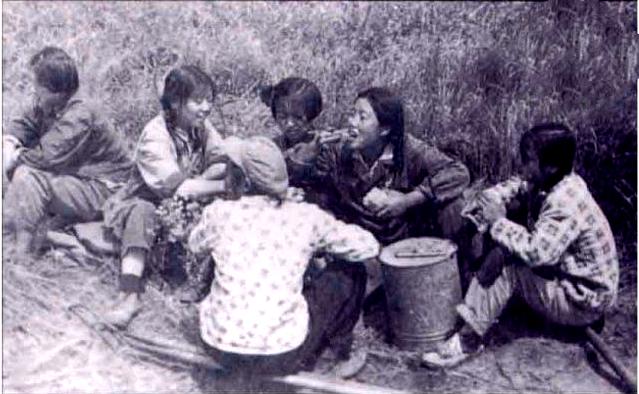 上山下乡的知青文化,知青上山下乡聚餐
