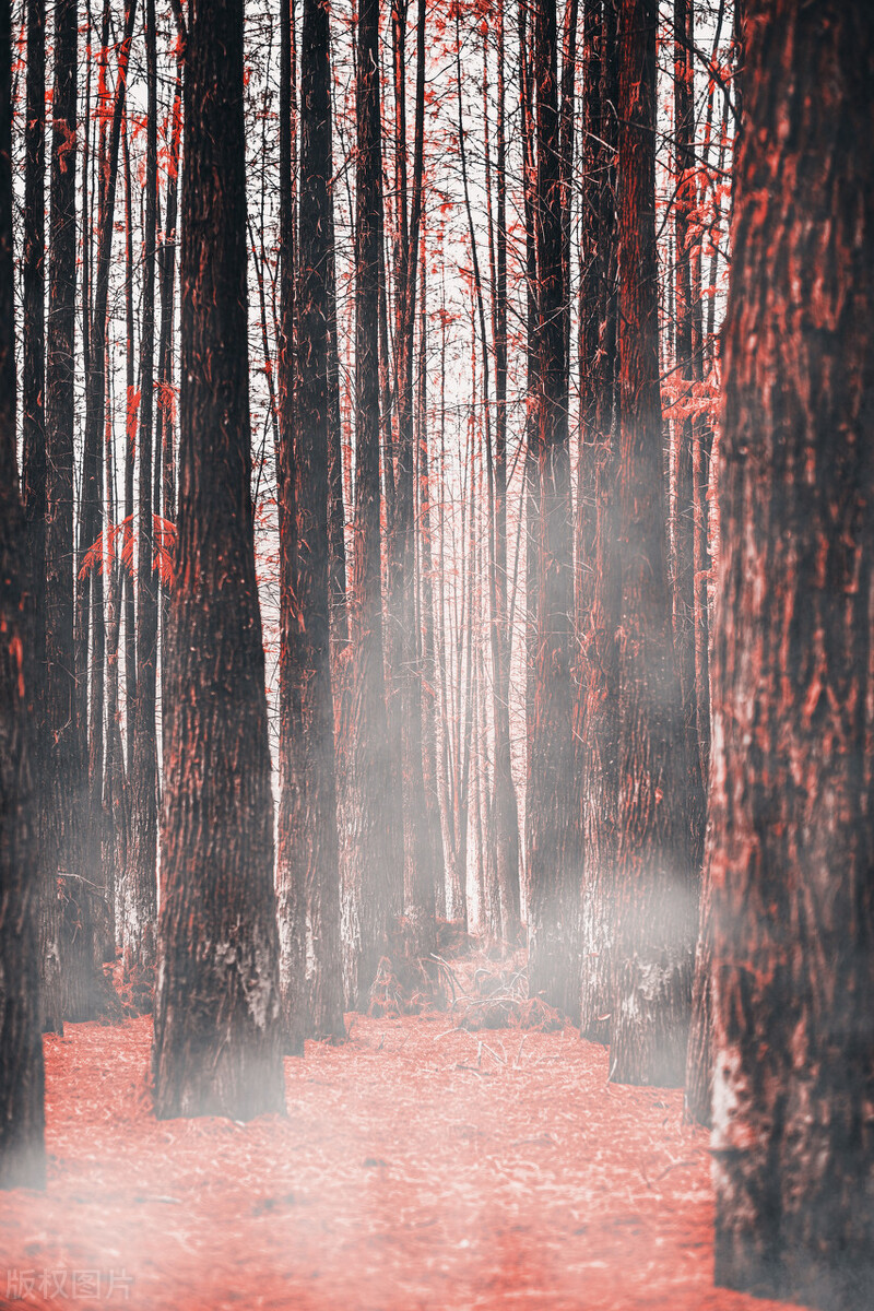 中国最牛的城市是哪一个,中国最牛名城