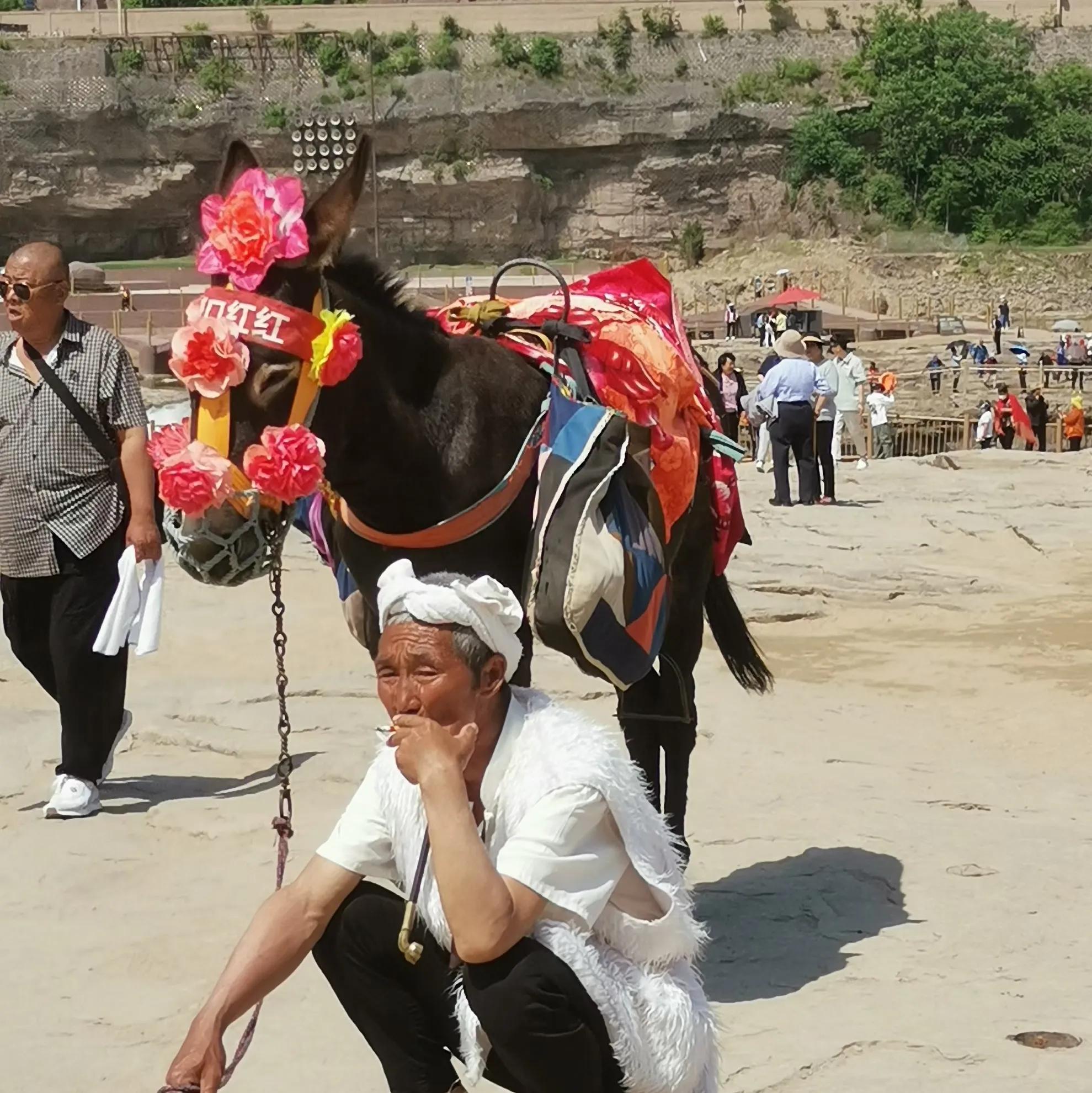 享受骑游带来的快乐,享受自由的骑行