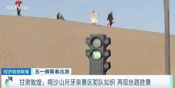 堵骆驼,堵骆驼敦煌骆驼排队上山