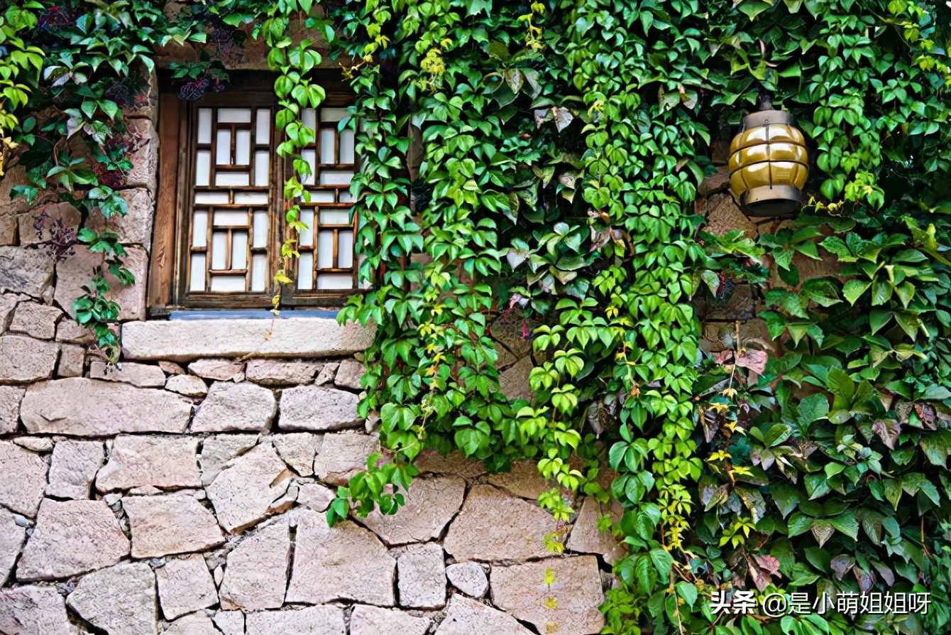 低门槛的互联网创业可以做吗,互联网创业才是现在最轻松的行业