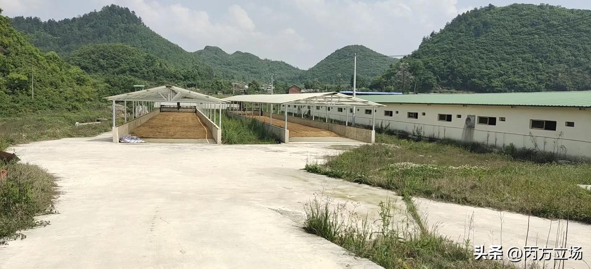 做饲料业务员怎么样,饲料业务员的真实生活
