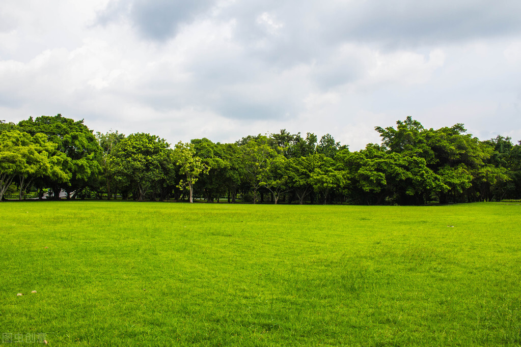 博士得癌症真的假的,博士得癌症辟谣