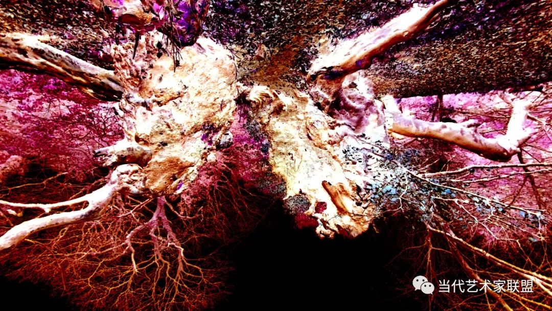 2022年当代艺术作品展,2021年中国当代艺术名家作品展