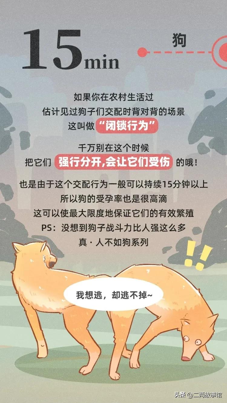 婕敾绻佹畺,婕敾绻佽