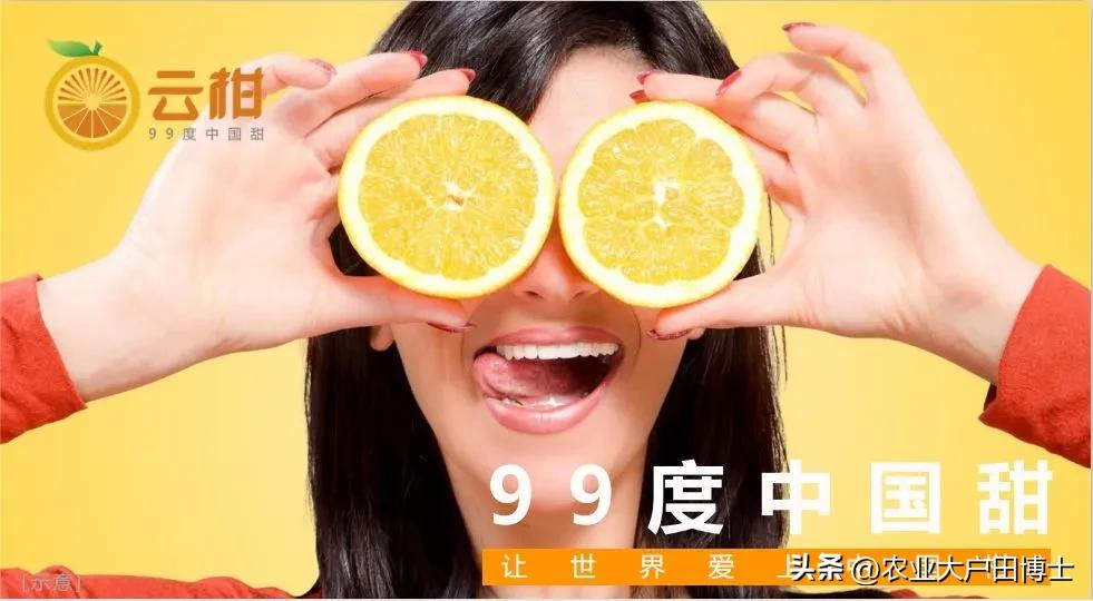 沃柑品牌策划核心竞争力如何提高,沃柑品牌推荐