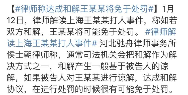 王思聪打人后续视频深度详细解析,王思聪打人事件解读