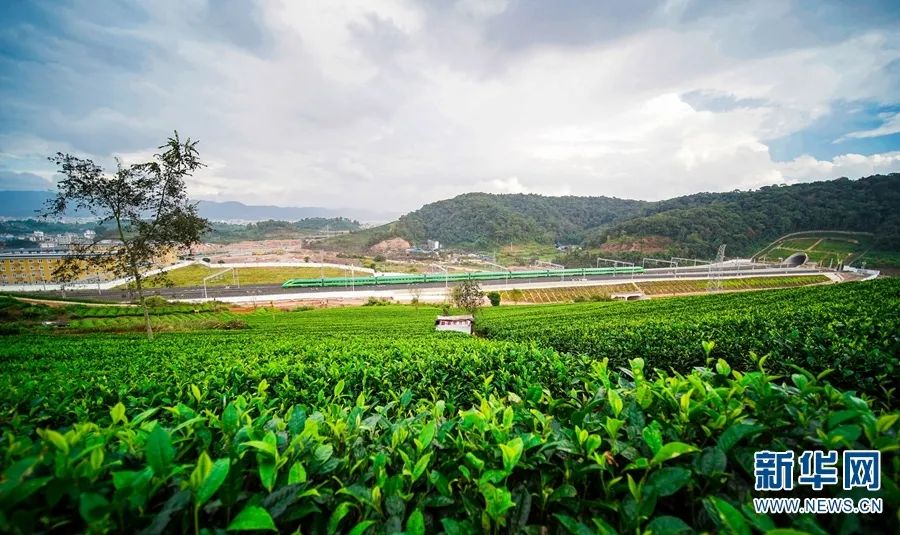 开通抖音一百天,中老铁路开通100天成绩很亮眼