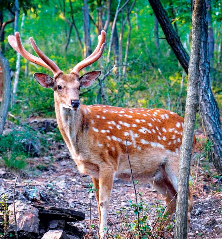 中国最具魅力的城市之一,中国最震撼的广场