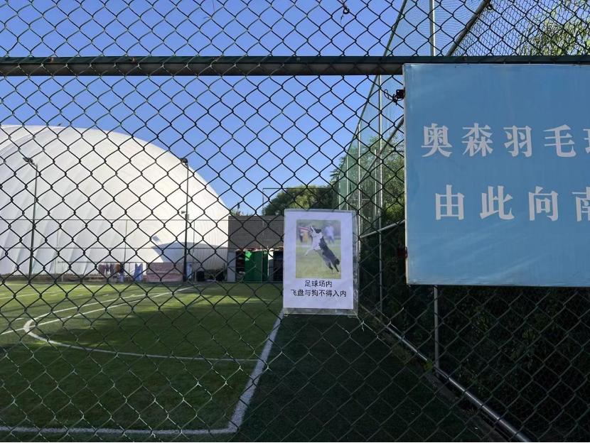 飞盘和足球争场地,飞盘足球打架