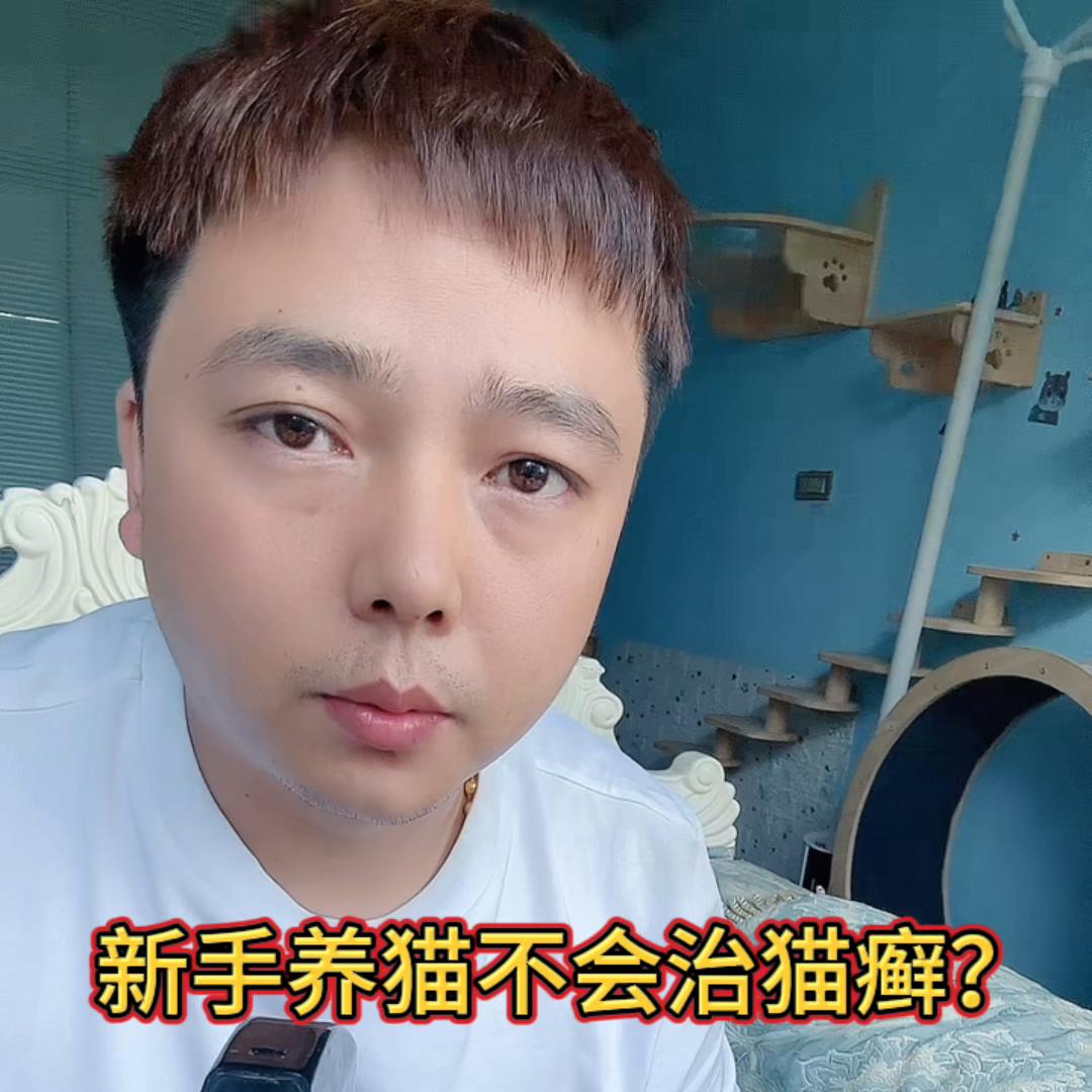 猫咪猫癣怎么样才是好了,猫癣治不好的吧