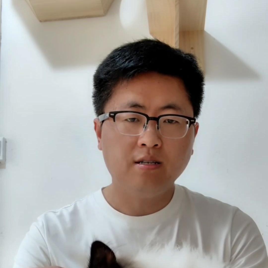 养猫喂生骨肉还是猫粮,养猫最好的喂养方式