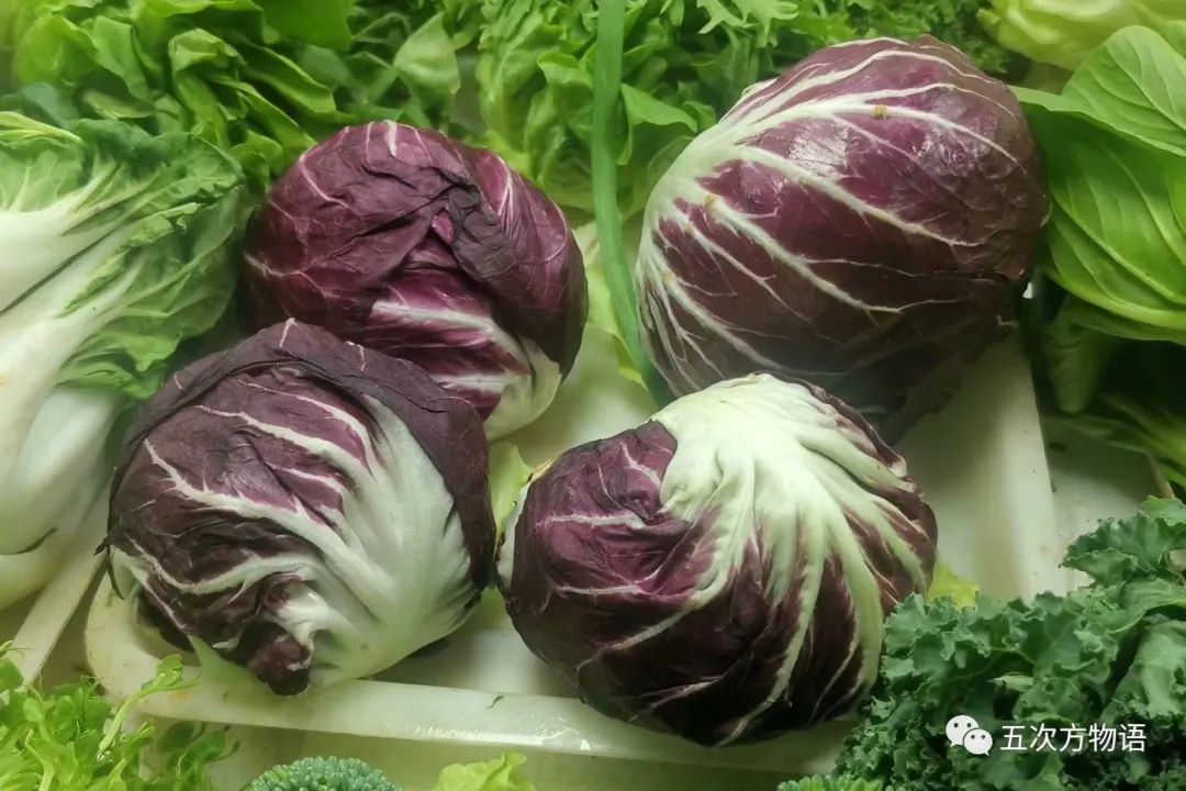 根类食物大全 (5种根菜类的食材)