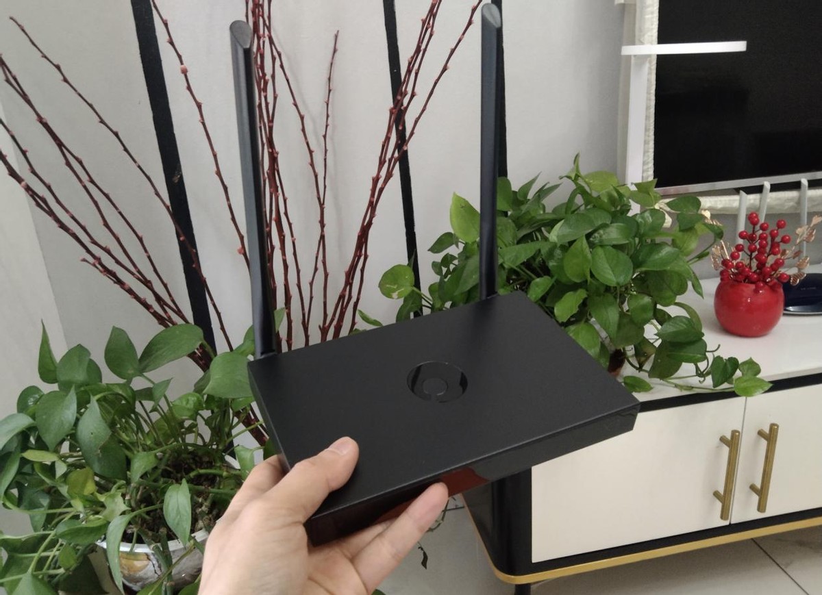 使用蒲公英x3a如何远程访问nas,插上u盘就是win系统