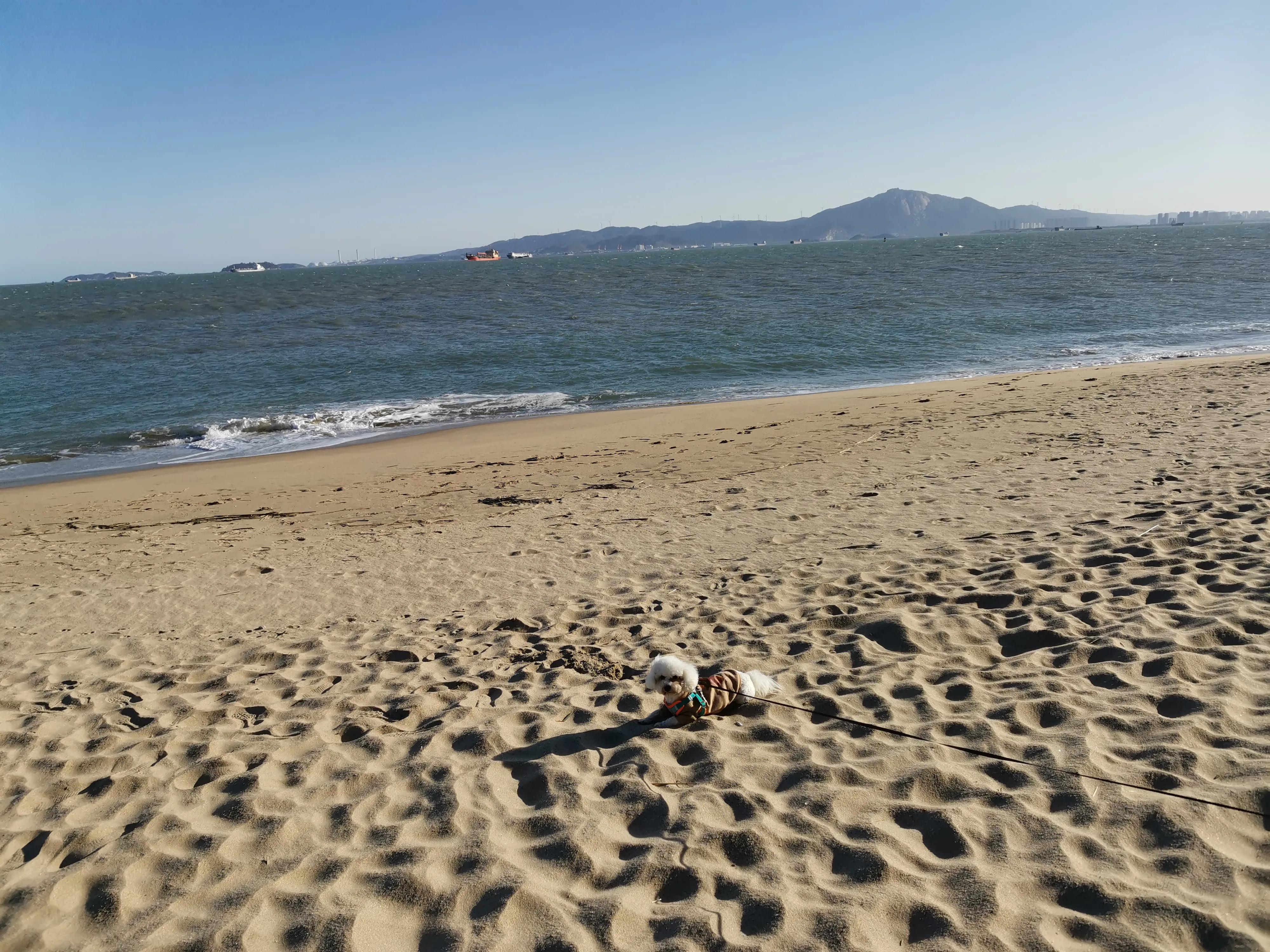 厦门的蓝天白云大海,厦门的海厦门的天空