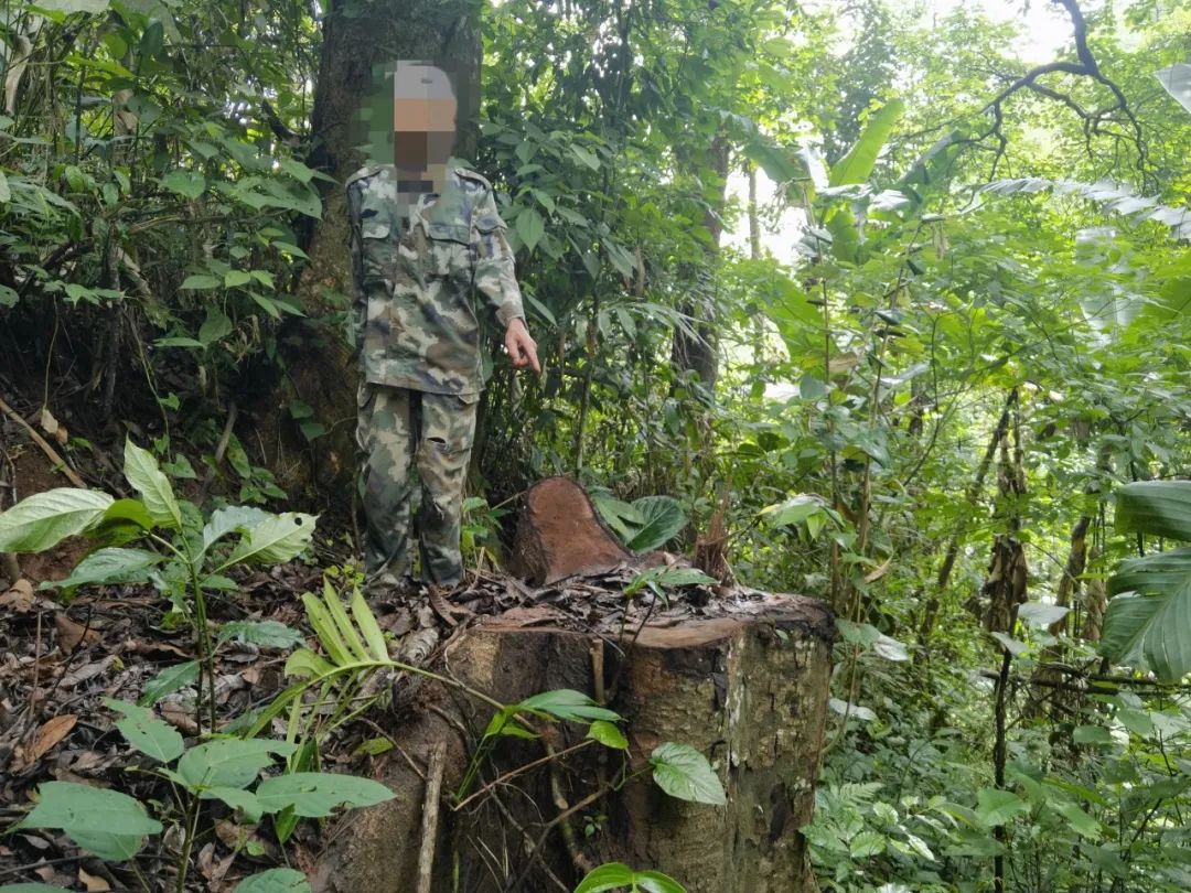 非法盗采案件处罚标准,非法盗采治安管理处罚法49条