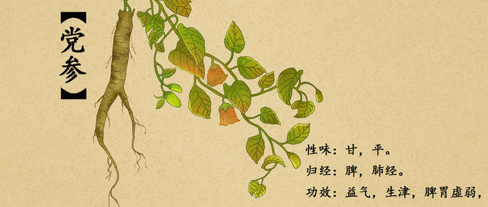 消痔汤真的能消痔吗,消痔汤治疗内痔可以吗