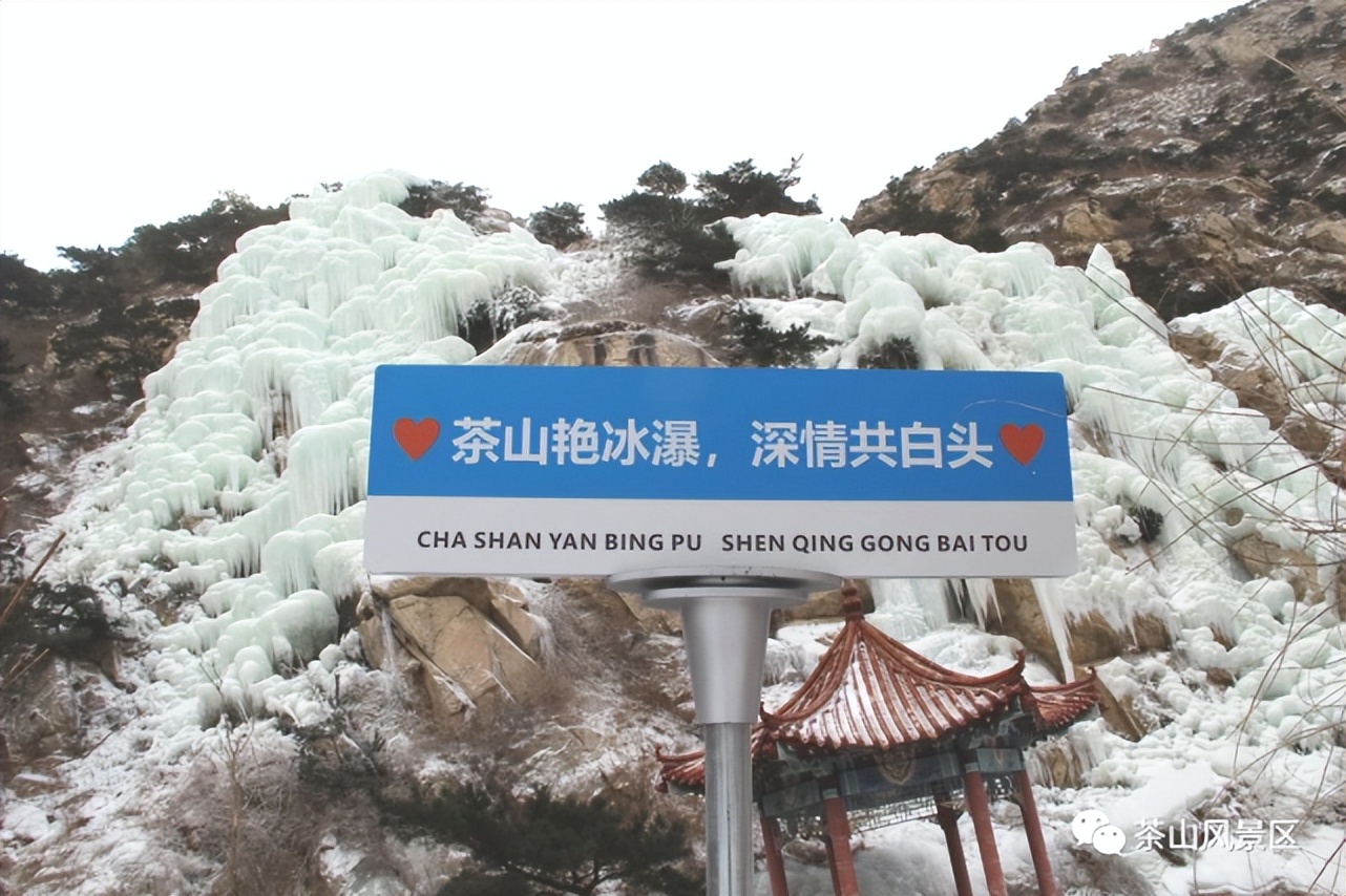 青岛多家景区限时免门票,青岛56个免门票景区