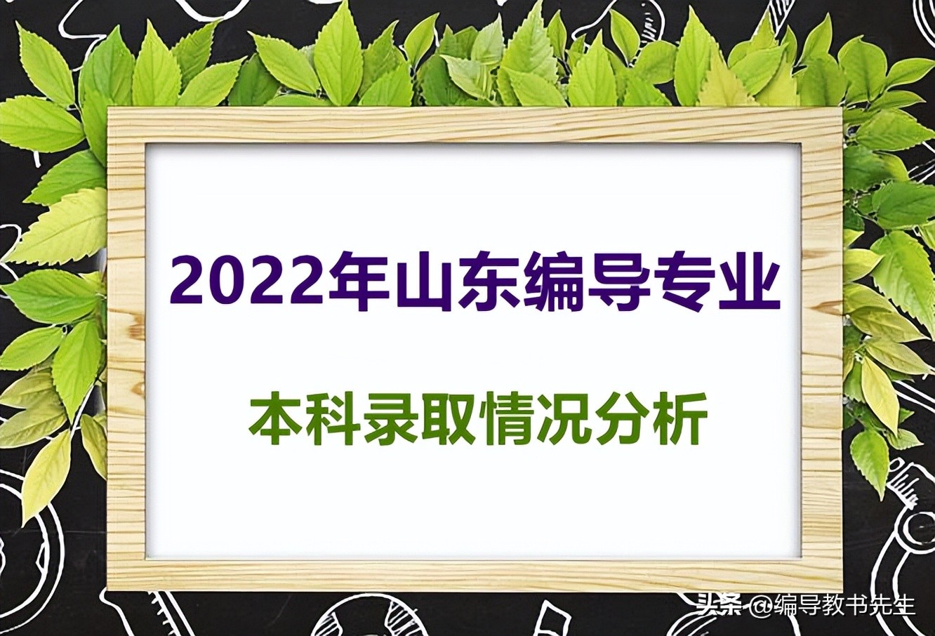 山东2022年本科编导专业分数线,2020年山东编导专业成绩排名