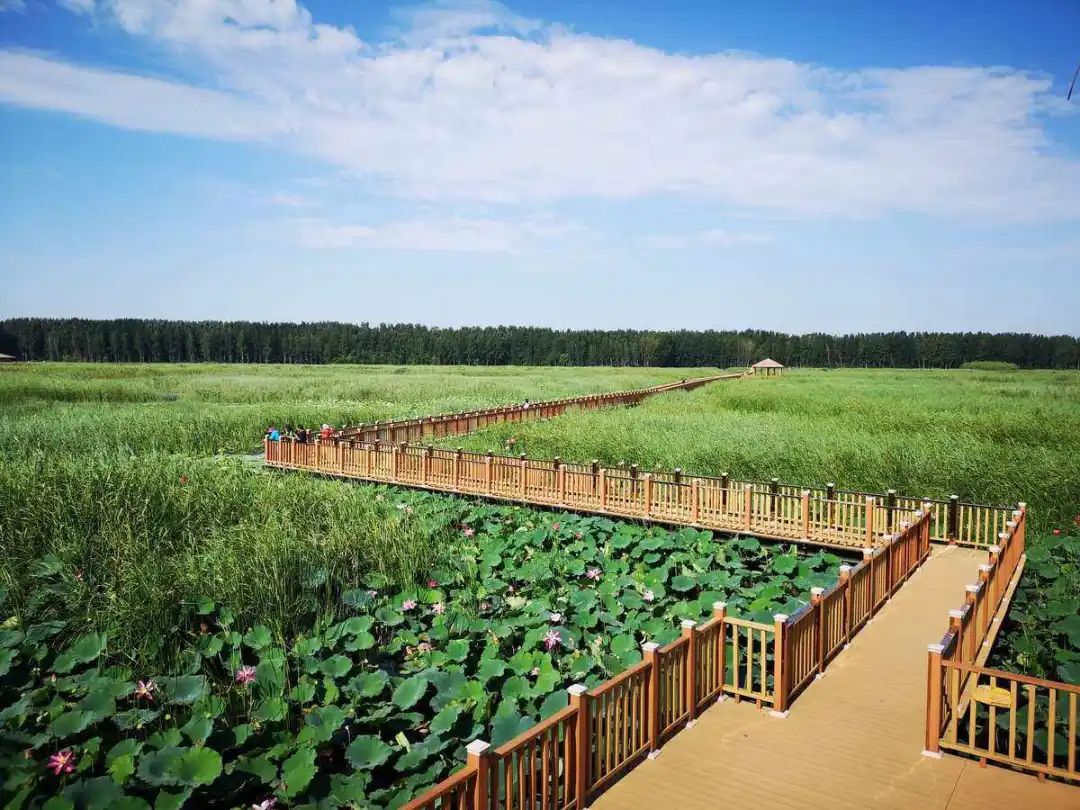 闆勫畨鏂板尯logo寰侀泦,闆勫畨寰侀泦