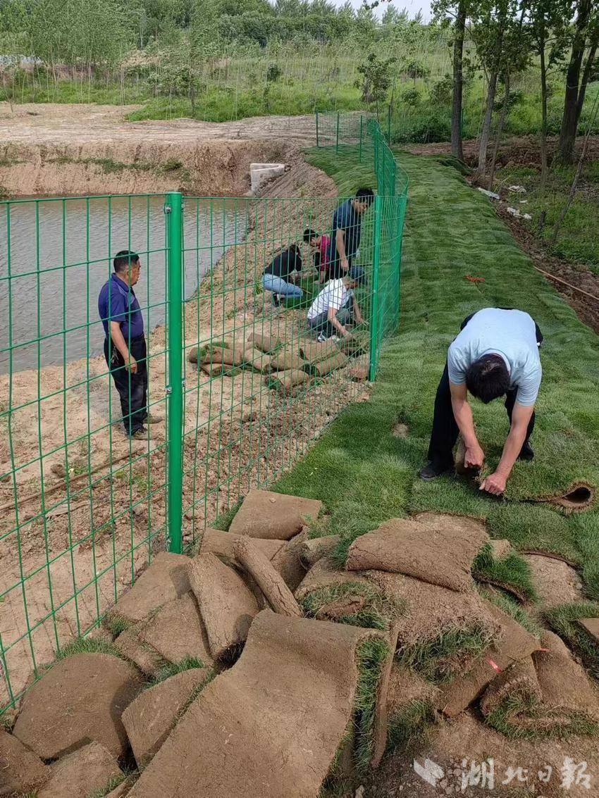 投资20万，马鞍这个村烂泥坑变蓄水池