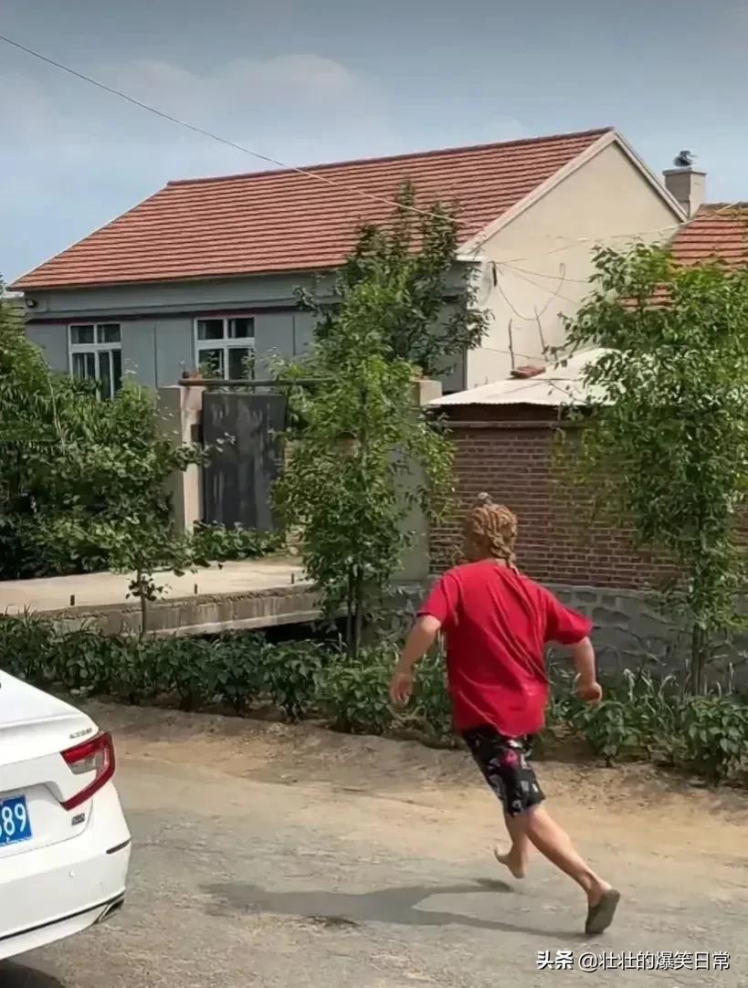 狮子魔性的笑声笑死人,狮子搞笑片