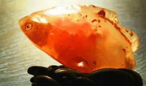 泸州最贵奇石图片及价格,江玉奇石最贵的一块多少钱