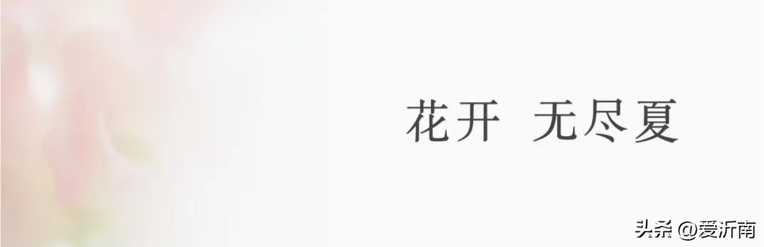 鏈ㄦЭ鏌旂殑灏忚,鏌旂矇绾㈠績閲嶇摚鏈ㄦЭ淇壀