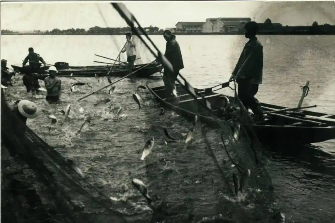 杭州湘湖步行最佳路线,杭州湘湖哪里值得骑行