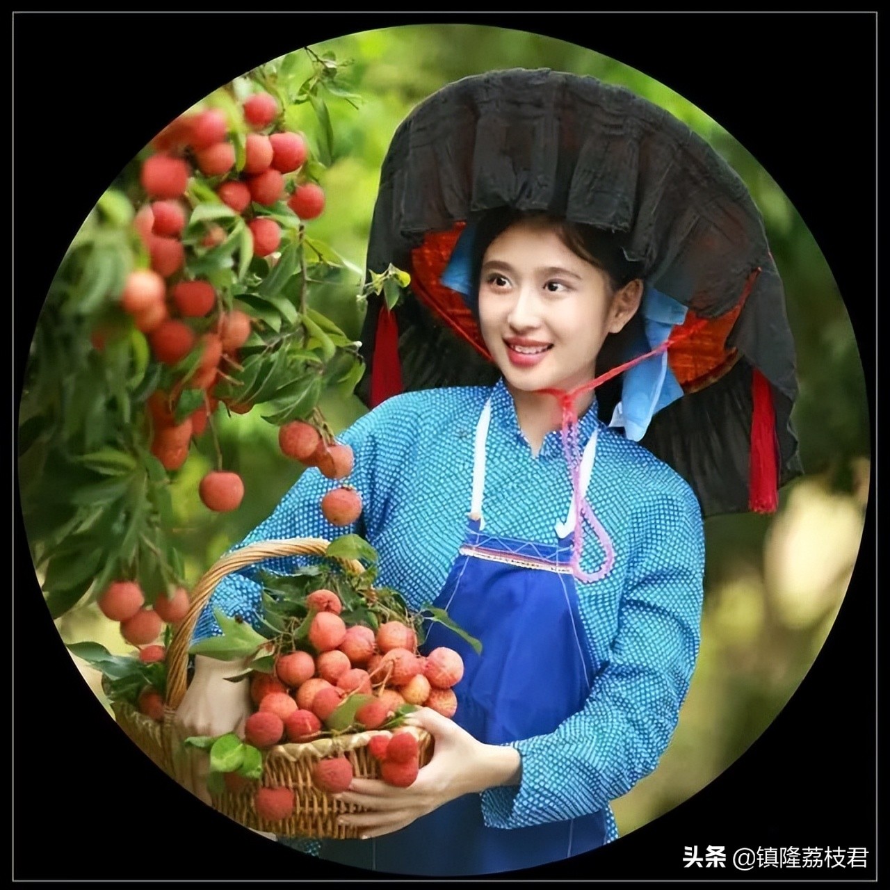 隆林美丽的家乡,镇隆家乡的风景