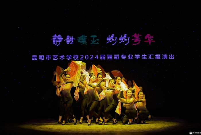 灼灼璞玉静世芳华的解释,与灼灼璞玉静世芳华相似的句子