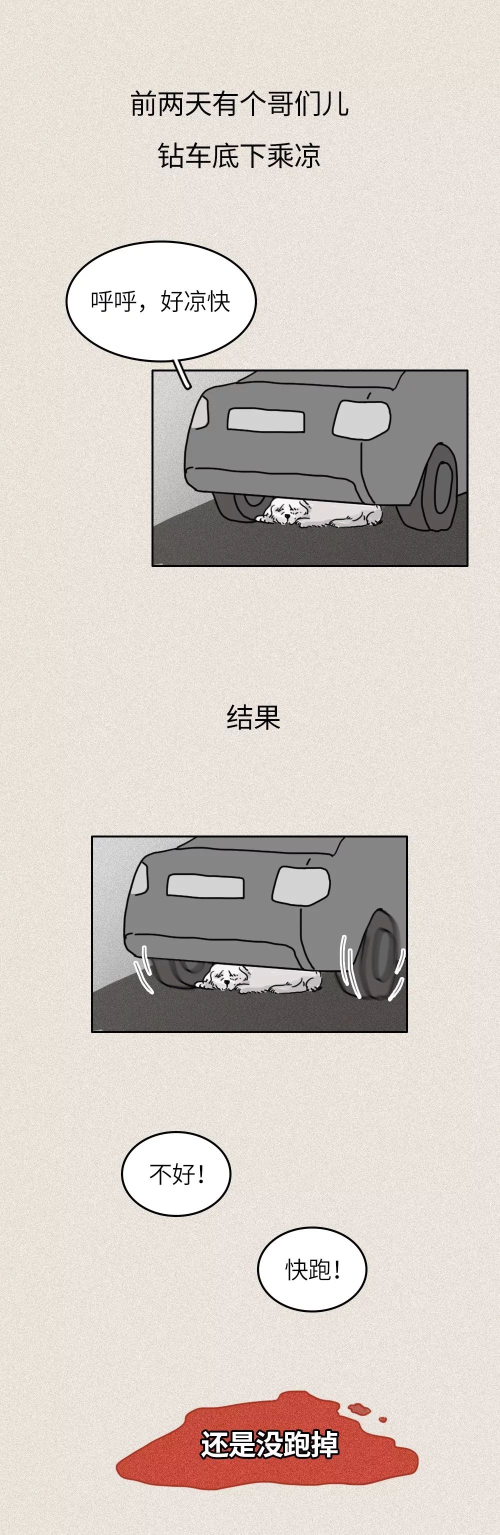 救救我36关怎么过,一只流浪狗自述