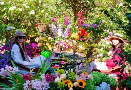 杨丽萍生活起居需要男助理照顾,杨丽萍的生活问题怎么解决