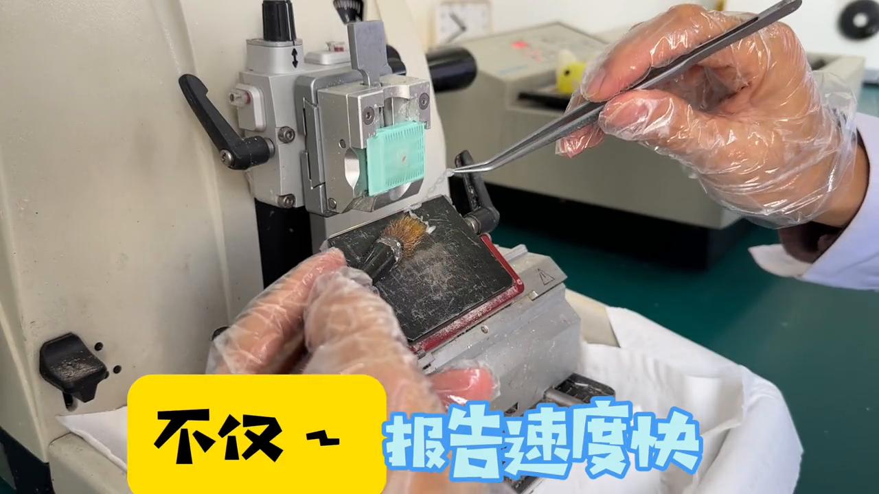 科普～快速石蜡处理全流程！没有最快，只有更快……