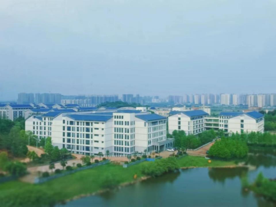 南华大学毕业就业情况怎么样,读南华大学就业率