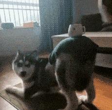 朋友圈高质量装x的图片,朋友圈装x图片