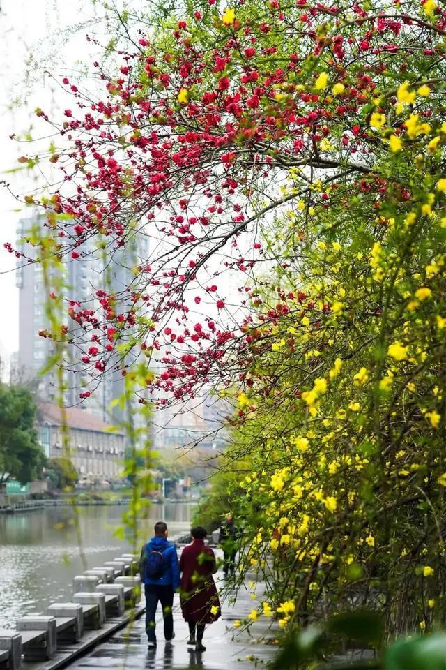 走在北大街寻访无锡“四大码头”