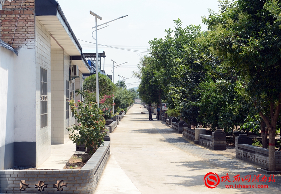 奋进新征程建功新时代｜富平：奋力建设中国北方最美县城为谱写富平高质量发展新篇章不懈努力（组图）