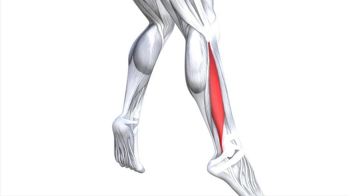 崴脚导致韧带断裂还能走路吗,崴脚韧带断裂脚会肿吗