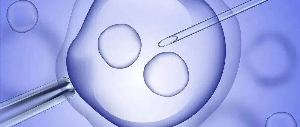 试管小白必看：女性的雌二醇数值达多少pg/mL可以取卵？