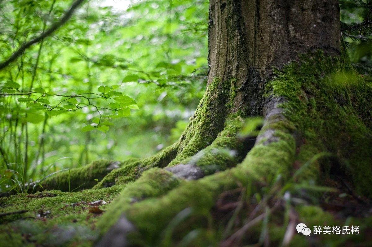 三明市国家a级旅游景区名录,三明旅游所有5a级景点