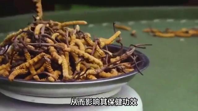 冬虫夏草有保质期吗保质期是多久,金虫草保质期过期了还能用吗