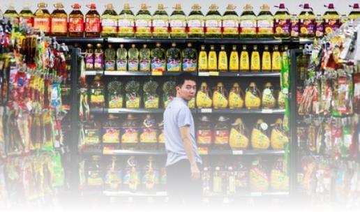 项栋梁是干什么的,项栋梁原文